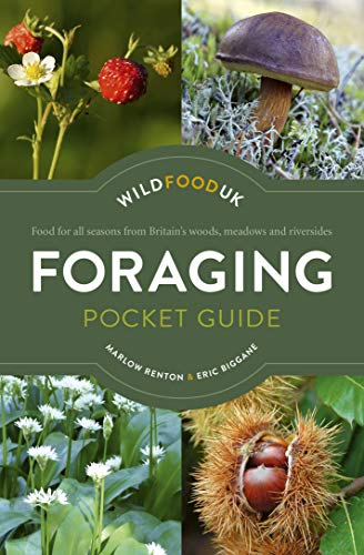 Foraging Pocket Guide: Food for all seasons from Britain's woods, meadows and riversides (Paperback)