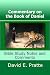 Commentary on the Book of D...