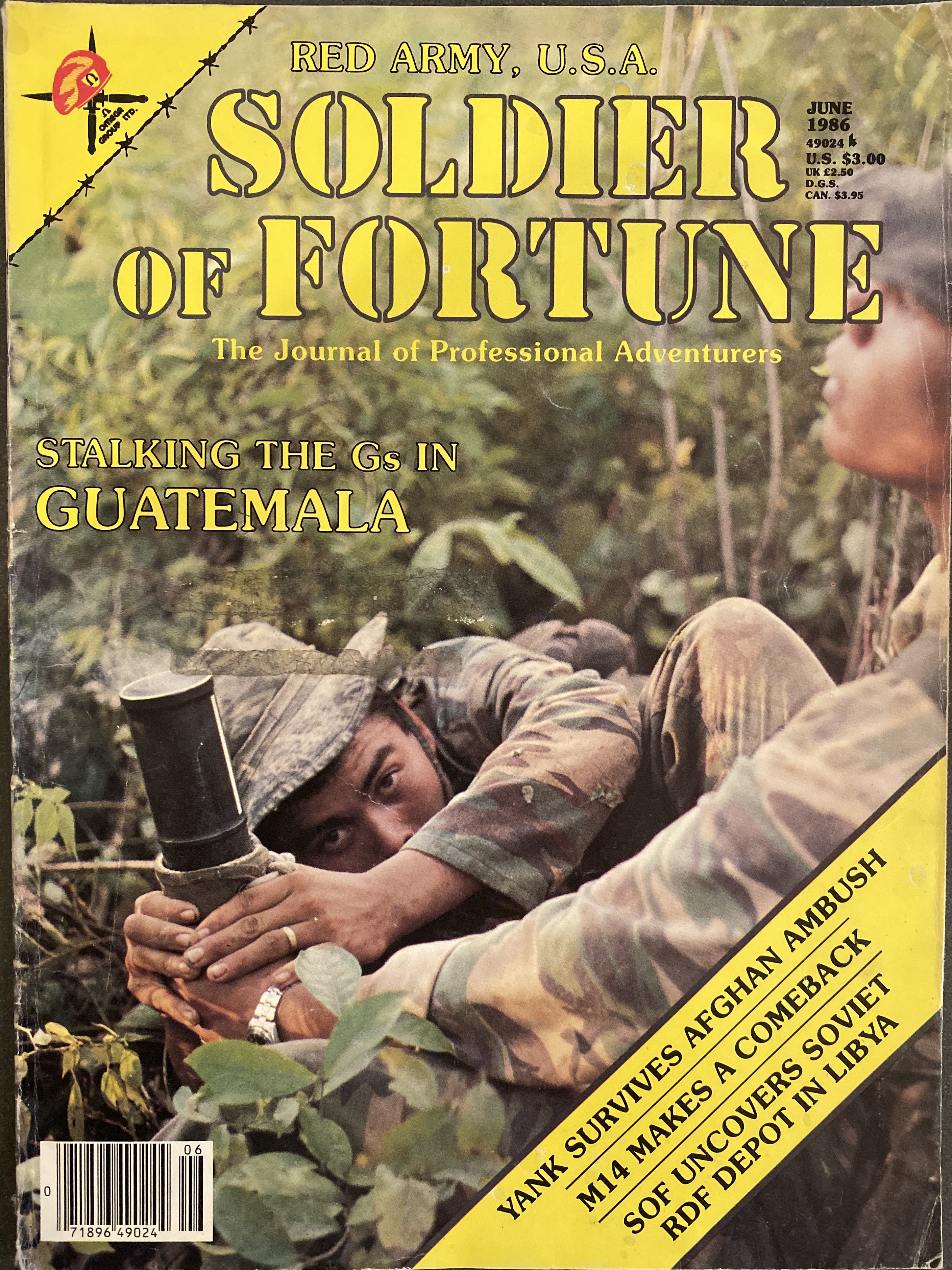 Soldier of Fortune (Paperback)