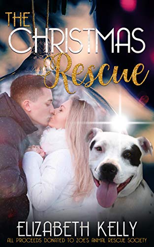 The Christmas Rescue (Kindle Edition)