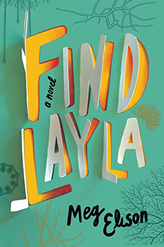 Find Layla (Kindle Edition)