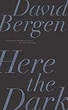Here the Dark: A Novella and Stories