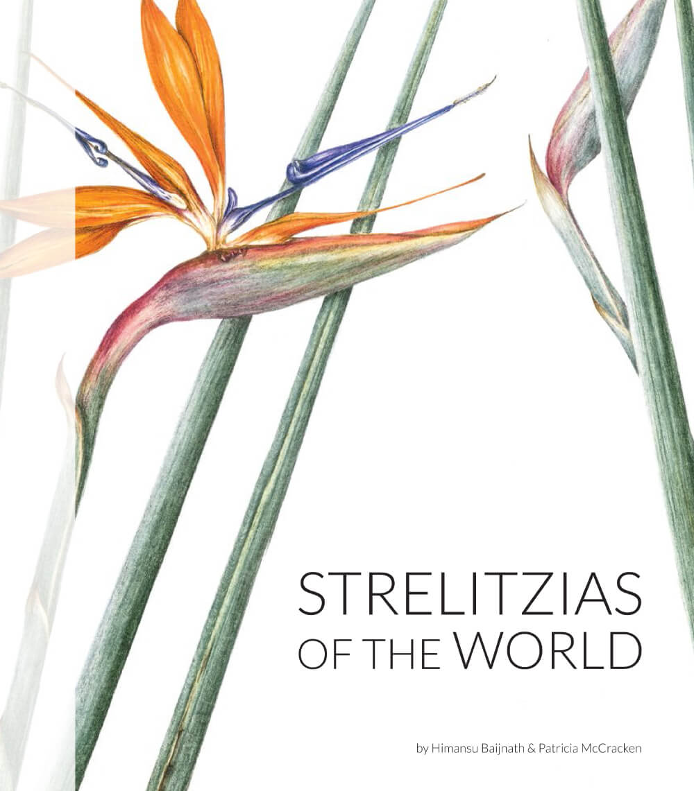 Strelitzias of the World