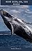 Moby Dick  : Or, The Whale
