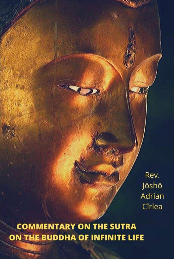 COMMENTARY ON THE SUTRA ON THE BUDDHA OF INFINITE LIFE
