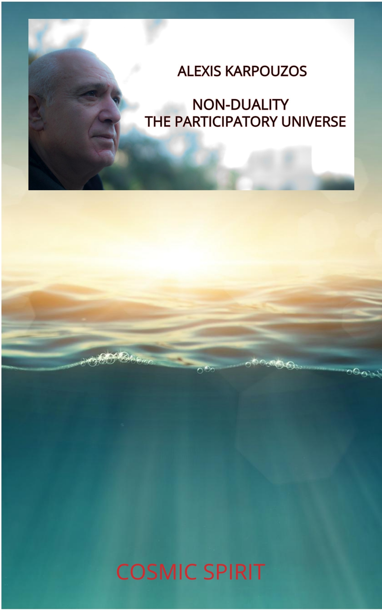 NON-DUALITY: THE PARTICIPATORY UNIVERSE