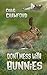 Don't Mess With Bunnies by Craig  Crawford