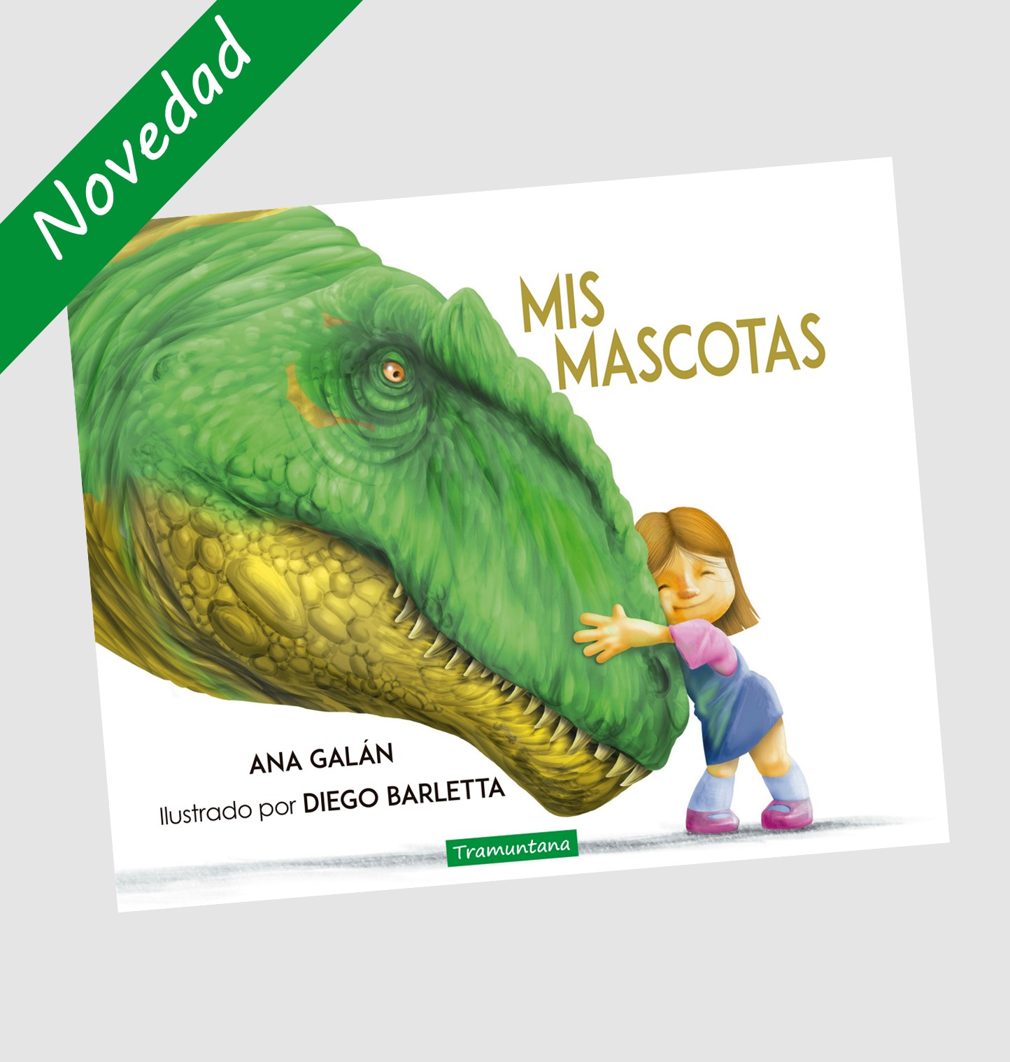 Mis mascotas (Paperback)