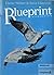 Blueprint Intermediate: Wor...