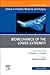 Biomechanics of the Lower Extremity, An Issue of Clinics in Podiatric Medicine and Surgery (Volume 37-1) (The Clinics: Orthopedics, Volume 37-1)