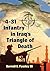 4-31 Infantry in Iraq's Triangle of Death