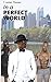 In A Perfect World by T.  Thomas
