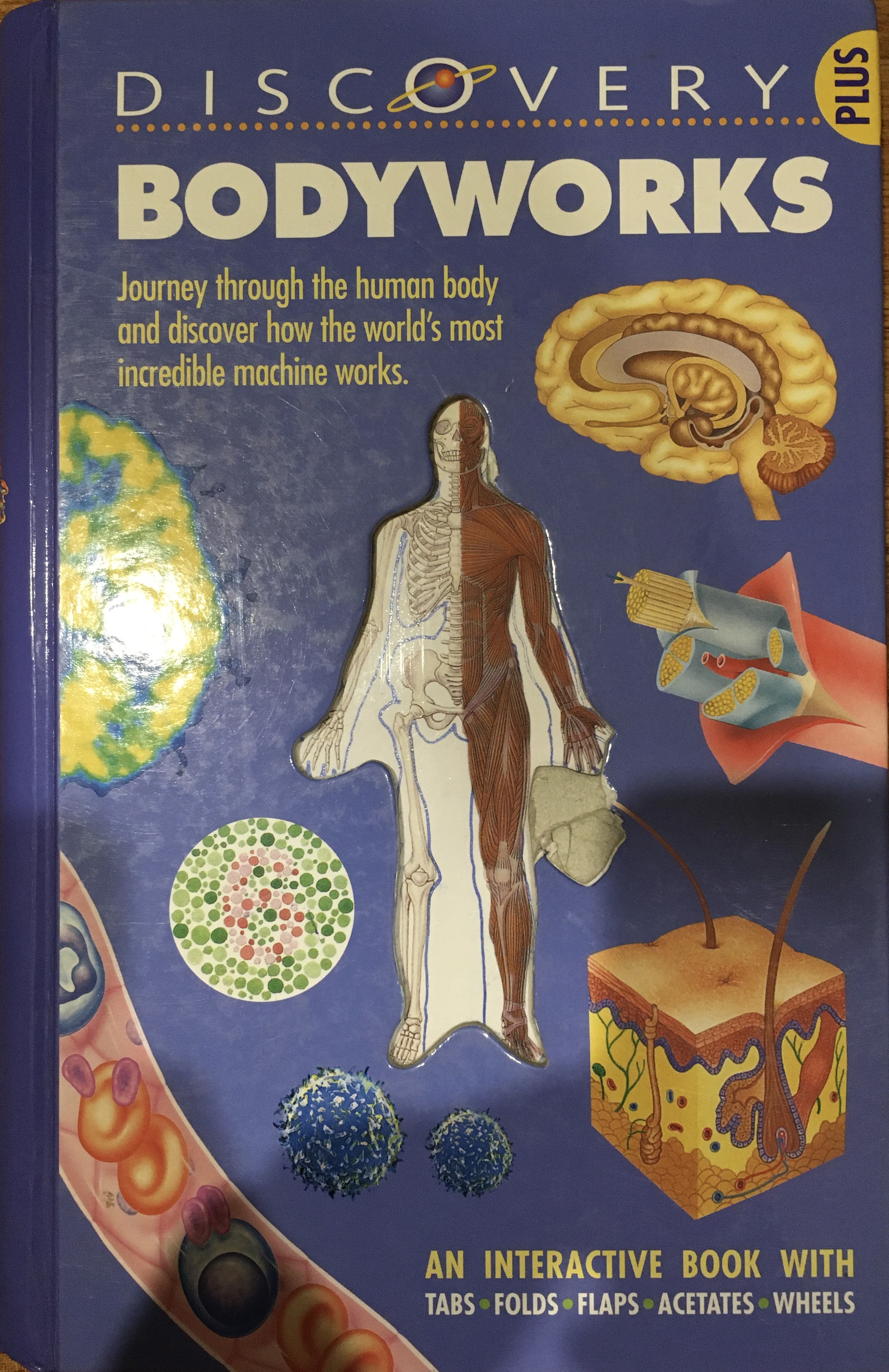 Bodyworks (Discovery Plus)