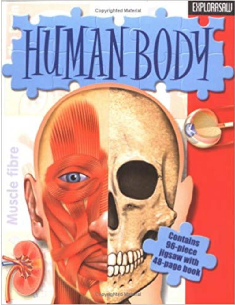 Human Body (Explorasaw)