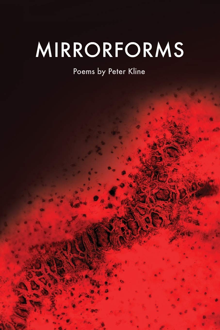 Mirrorforms: Poems