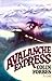 Avalanche Express