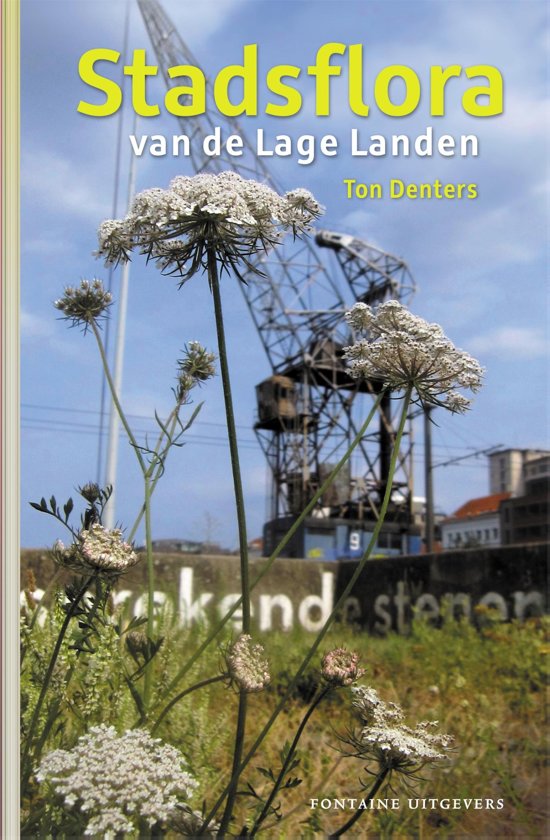 Stadsflora van de Lage Landen (Paperback)