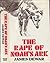 The rape of Noah's ark by James Dewar