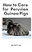 How to Care for Peruvian Guinea Pigs by Suzy Lin