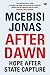 After Dawn: Hope After State Capture