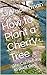 How to Plant a Cherry Tree:...