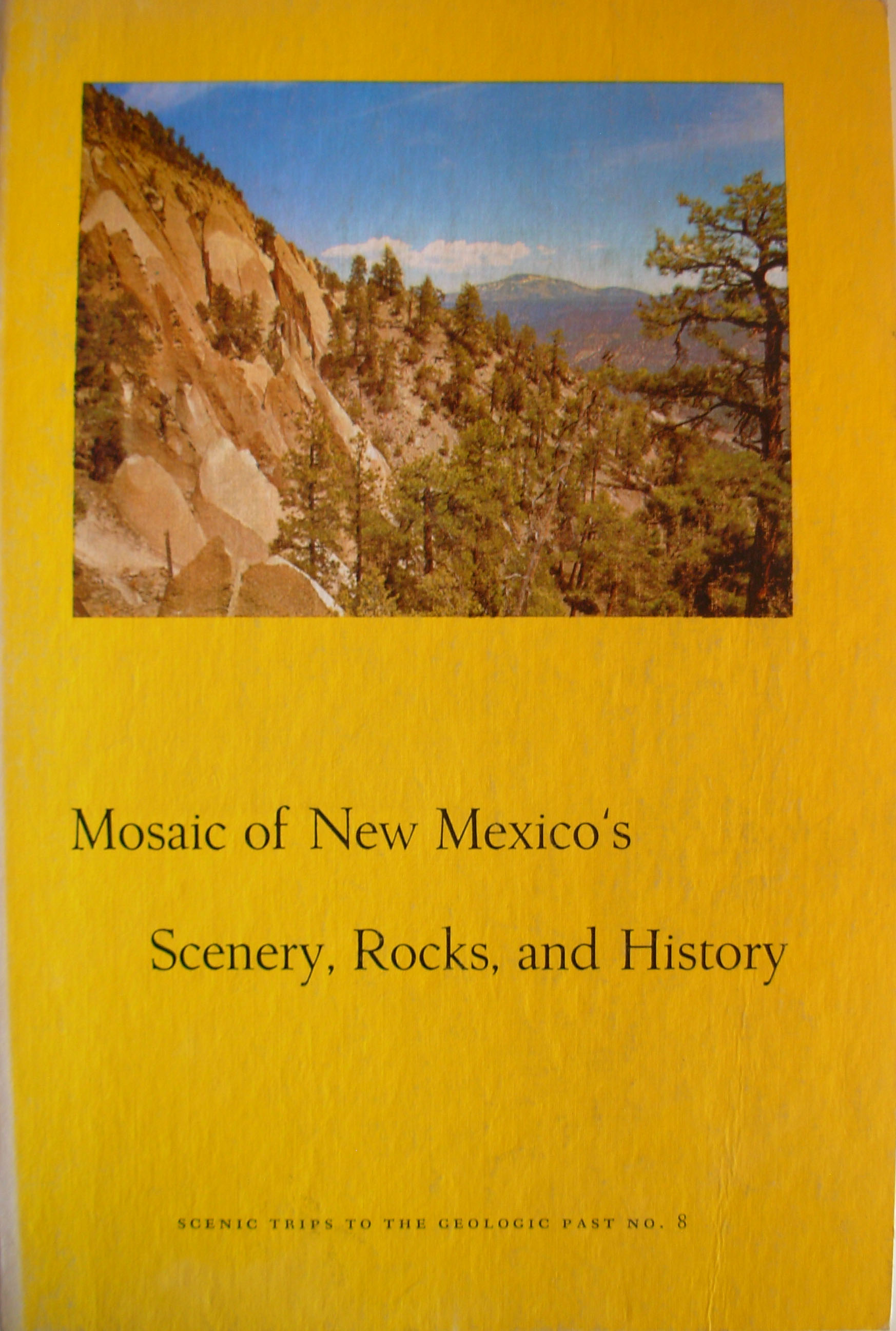 Mosaic of New Mexico's Scenery, Rocks, and History (Scenic Trips to the Geologic Past No. 8)