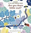 Are You There Little Owl?