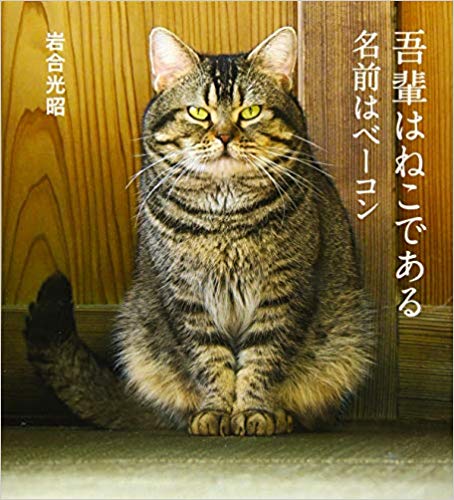 吾輩はねこである 名前はベーコン