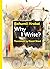 Why I Write?: The Early Prose from 1945 to 1952 (Modern Czech Classics)