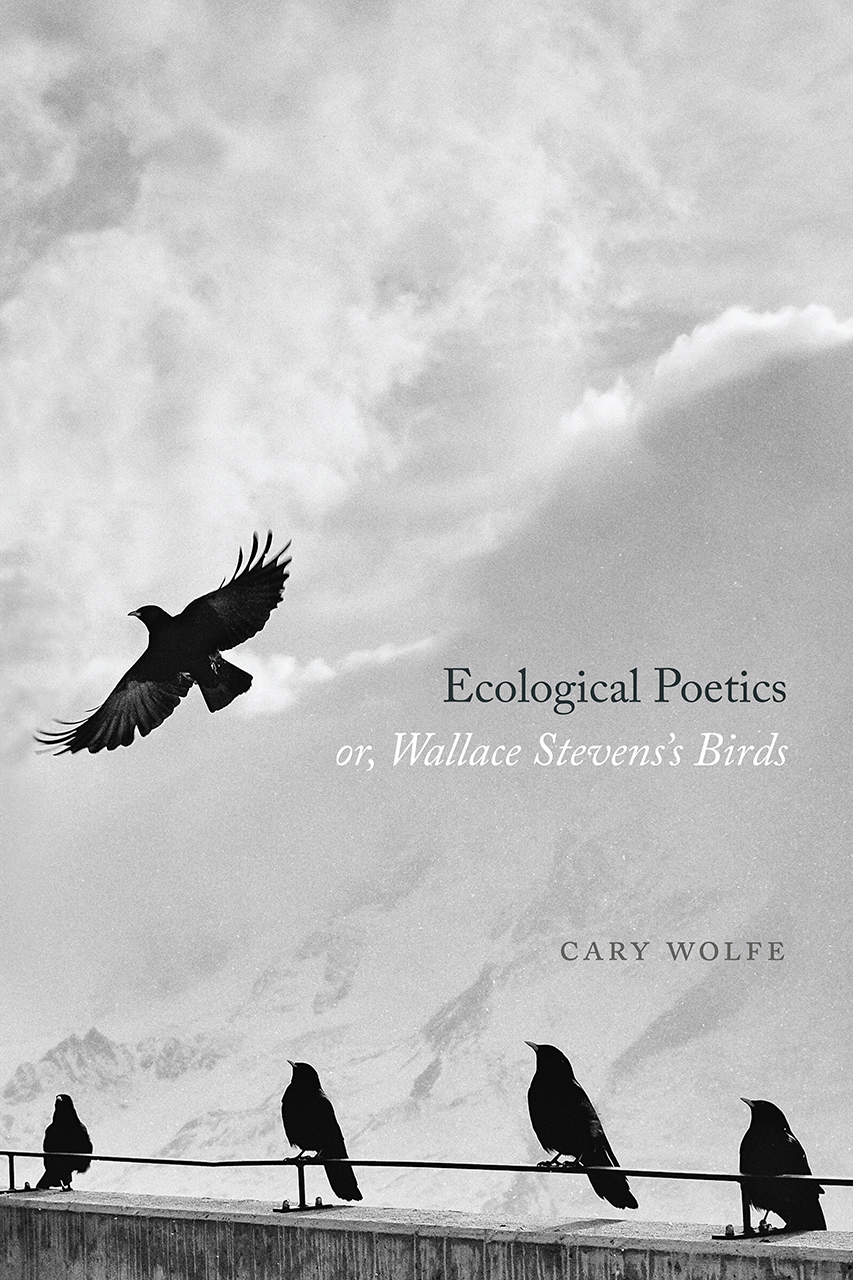 Ecological Poetics; or, Wallace Stevens's Birds (Paperback)