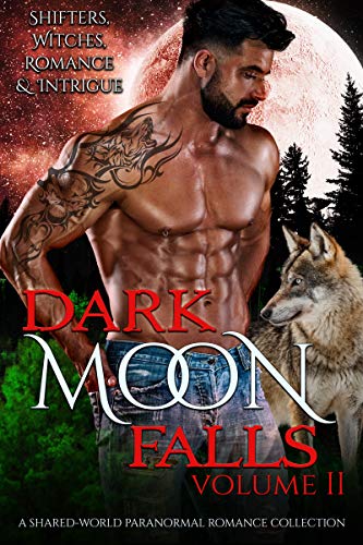 Dark Moon Falls: Volume 2 (Kindle Edition)