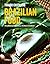 Brazilian Food