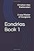 Eondrias Book 1: A new Master of Dungeons