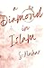 A Diamond In Islam: A Romance Novel