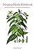 Stinging Nettle: A Foraging...