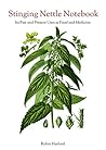 Stinging Nettle: A Foraging Guide