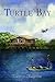 Turtle Bay by David Earth