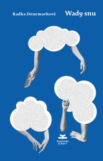 Wady snu (Paperback)