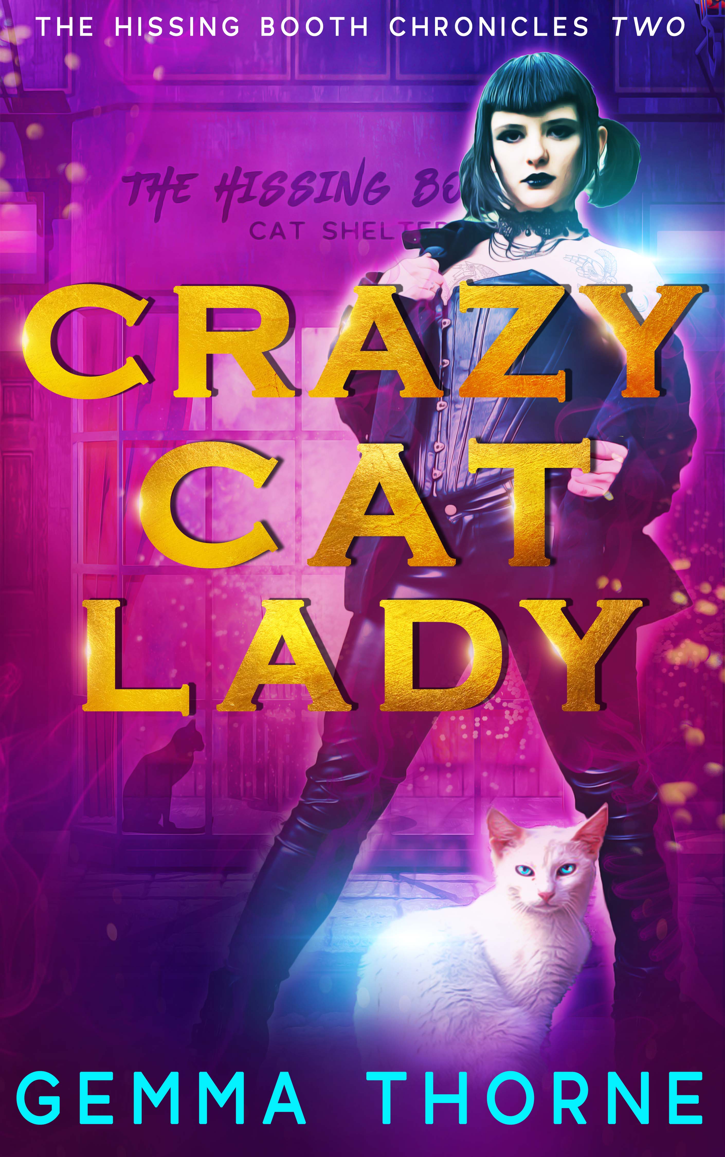Crazy Cat Lady (The Hissing Booth Chronicles, #2)