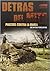 Detrás del mito: Panzers, contra la marea
