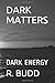 DARK MATTERS: DARK ENERGY