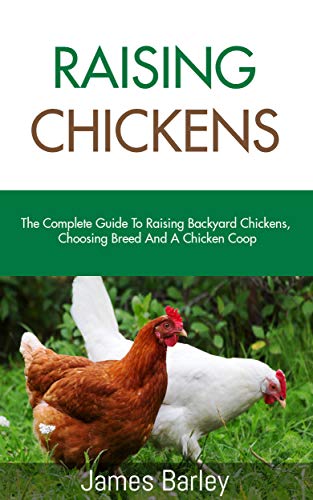 RAISING CHICKENS: The Complete Guide To Raising Backyard Chickens, Choosing Breed And How To Organize The Coop (Kindle Edition)