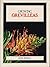 Growing Grevilleas