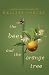 Bee and the Orange Tree