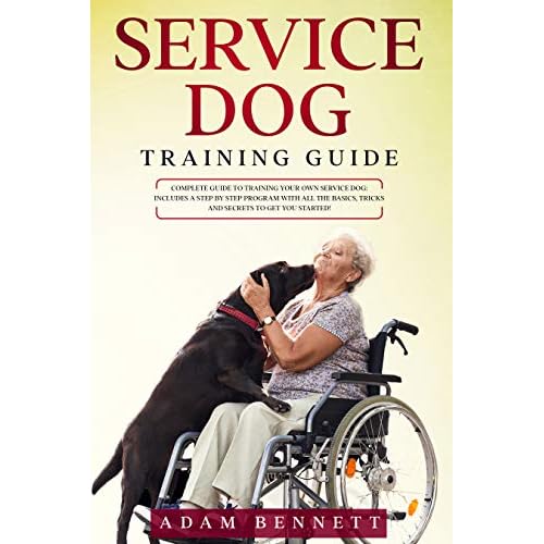 service dog training at home
