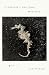 It Shouldn't Have Been Beautiful by Lia Purpura