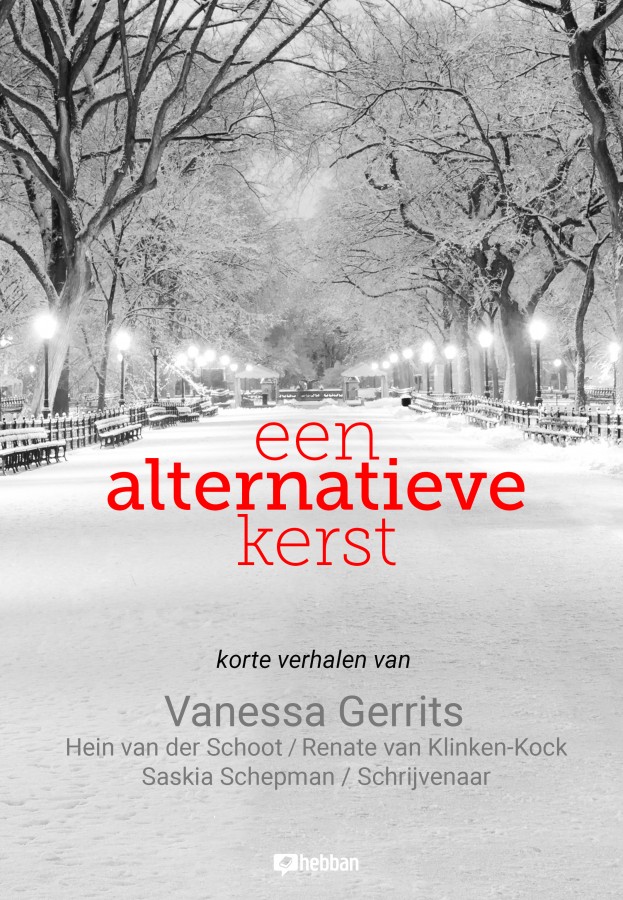 Een alternatieve kerst (ebook)