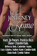 The Journey Home