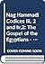 Nag Hammadi Codices III, 2 and IV, 2: The Gospel of the Egyptians. (The Holy Book of the Great Invisible Spirit). Edited with Translation and Commentary (Nag Hammadi Studies, 4) (Coptic Edition)