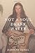 Not a Soul Drank Water
